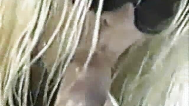 Paloma bintang menghisap penis Woodman dan mendapat fucked di bokep gogo live kedua lubang dengan aktor.